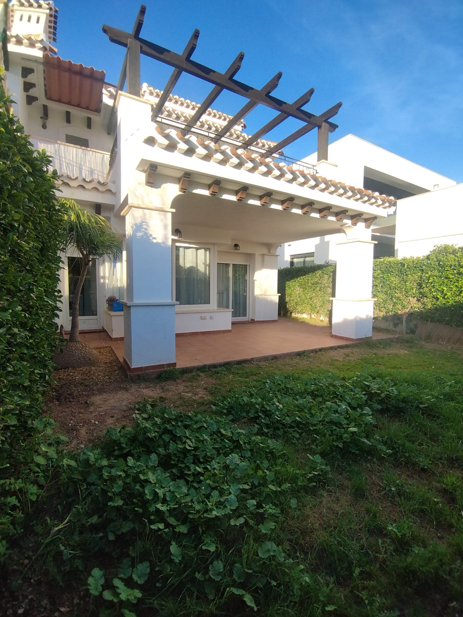 50059_WhatsApp Image 2026-02-09 at 19.10.33 (1).jpeg